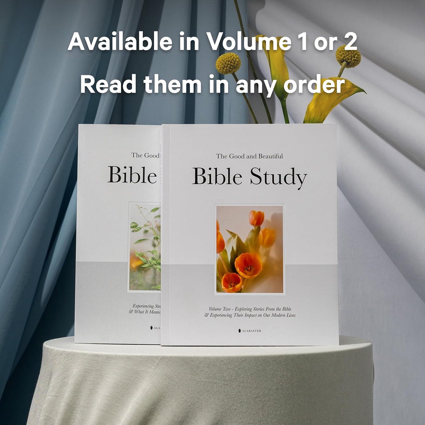 Bible Study, Reimagined as Art