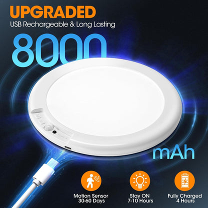 Smart Lighting That Follows Your Lead