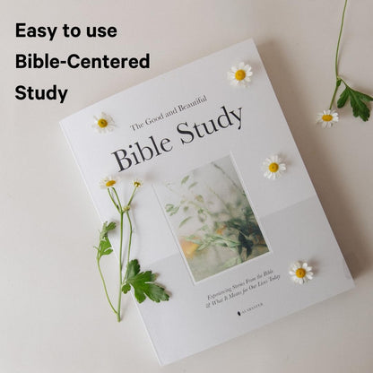 Bible Study, Reimagined as Art